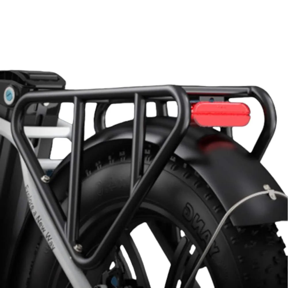 Engwe L20 - Dickreifenfahrrad - Grün