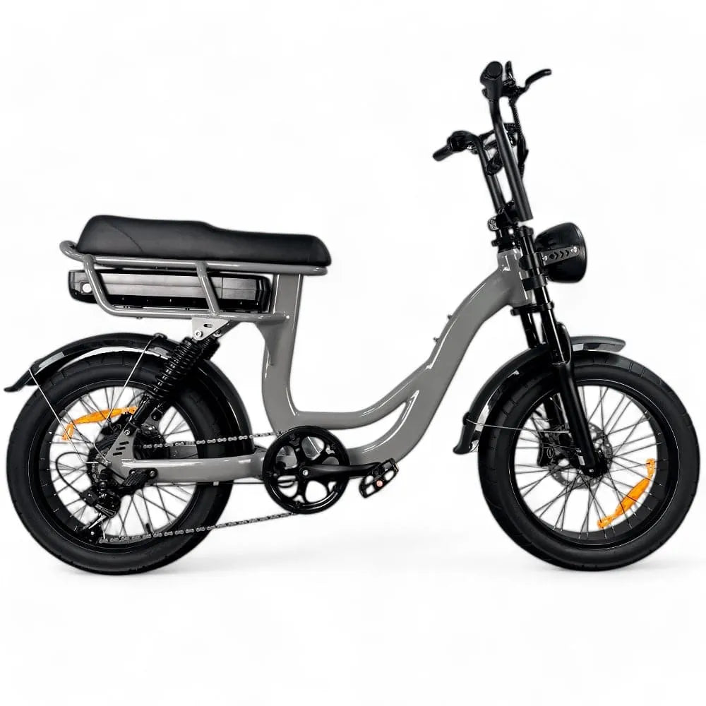 EB8 - Fettfahrrad - Grau