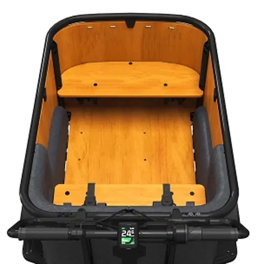 Cangoo Buckle Up - Schwarz