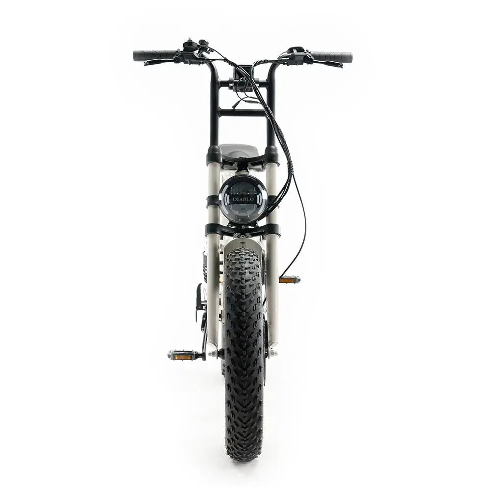 Diablo Zipper Fatbike - Grau