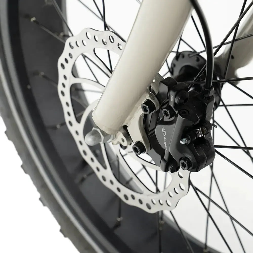 Diablo Zipper Fatbike - Grau