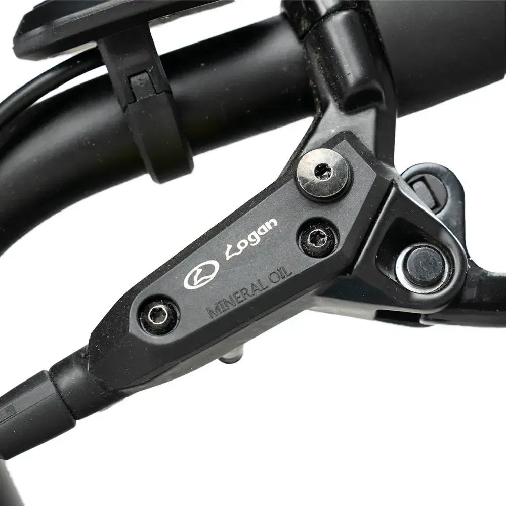 Diablo Zipper Fatbike - Grau