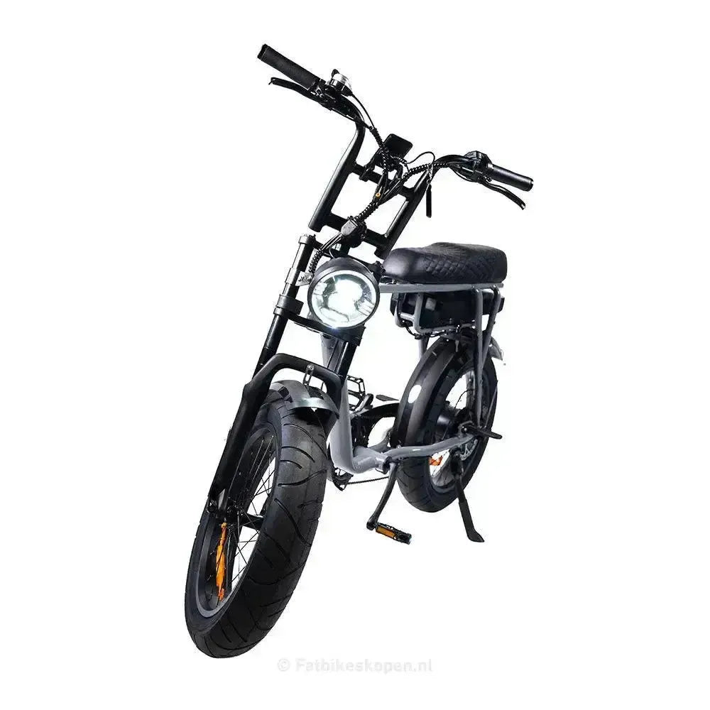 EB2 Fatbike Silber + Alarm + Fußstützen