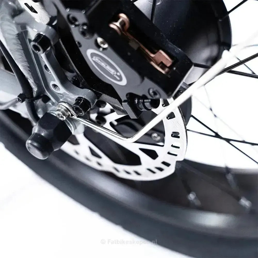 EB2 Fatbike Silber + Alarm + Fußstützen