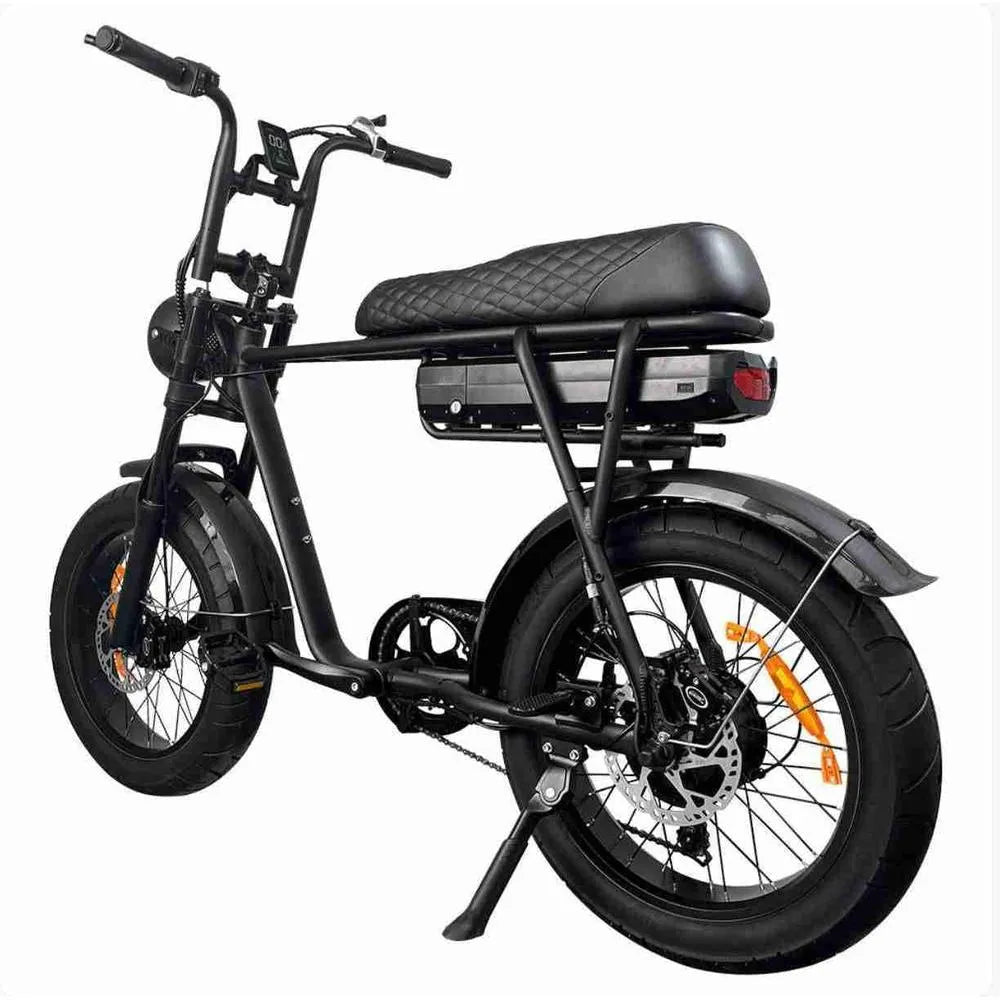 EB2 Fatbike Schwarz + Alarmsystem + Kostenlose Montage