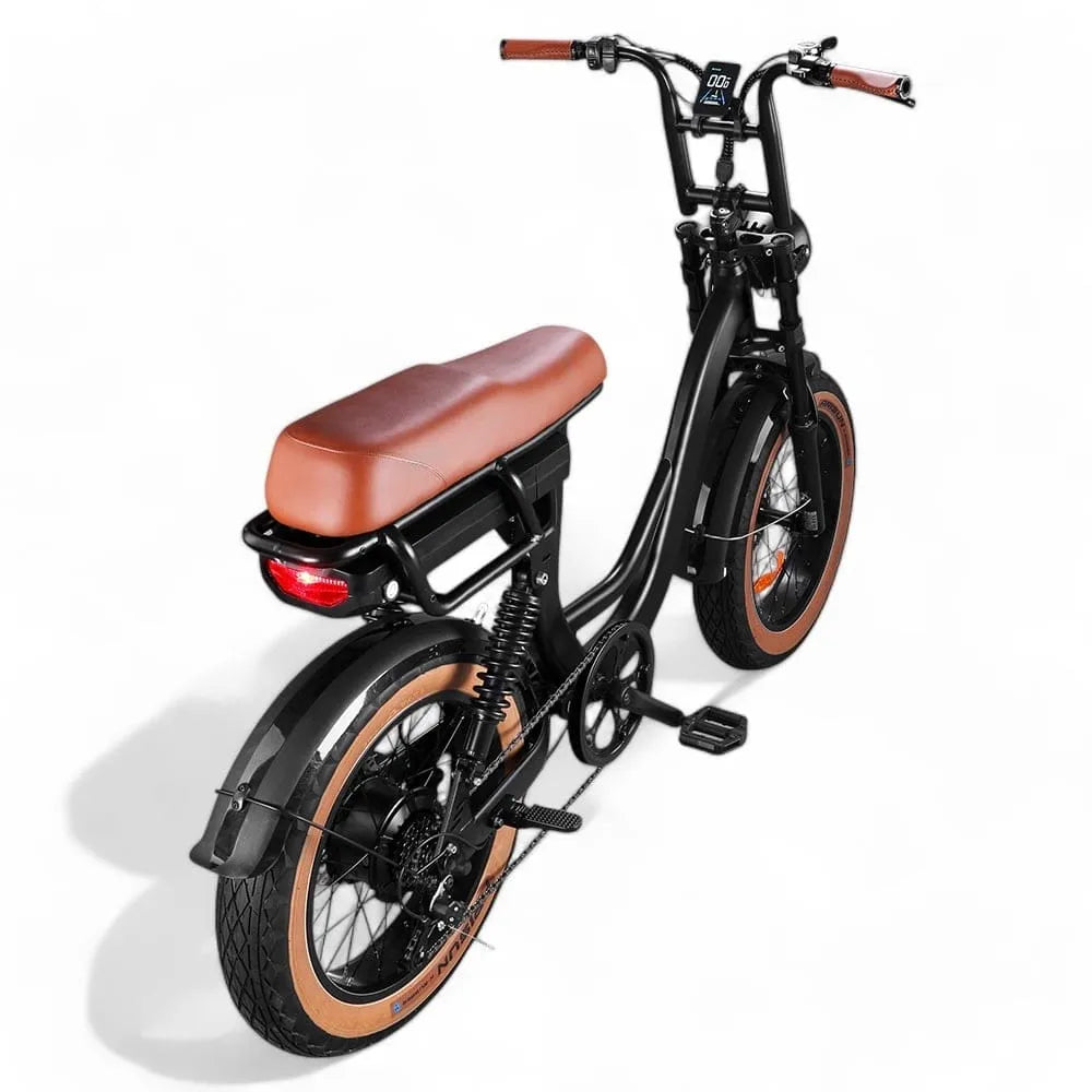 EB8 - Fatbike - Braun