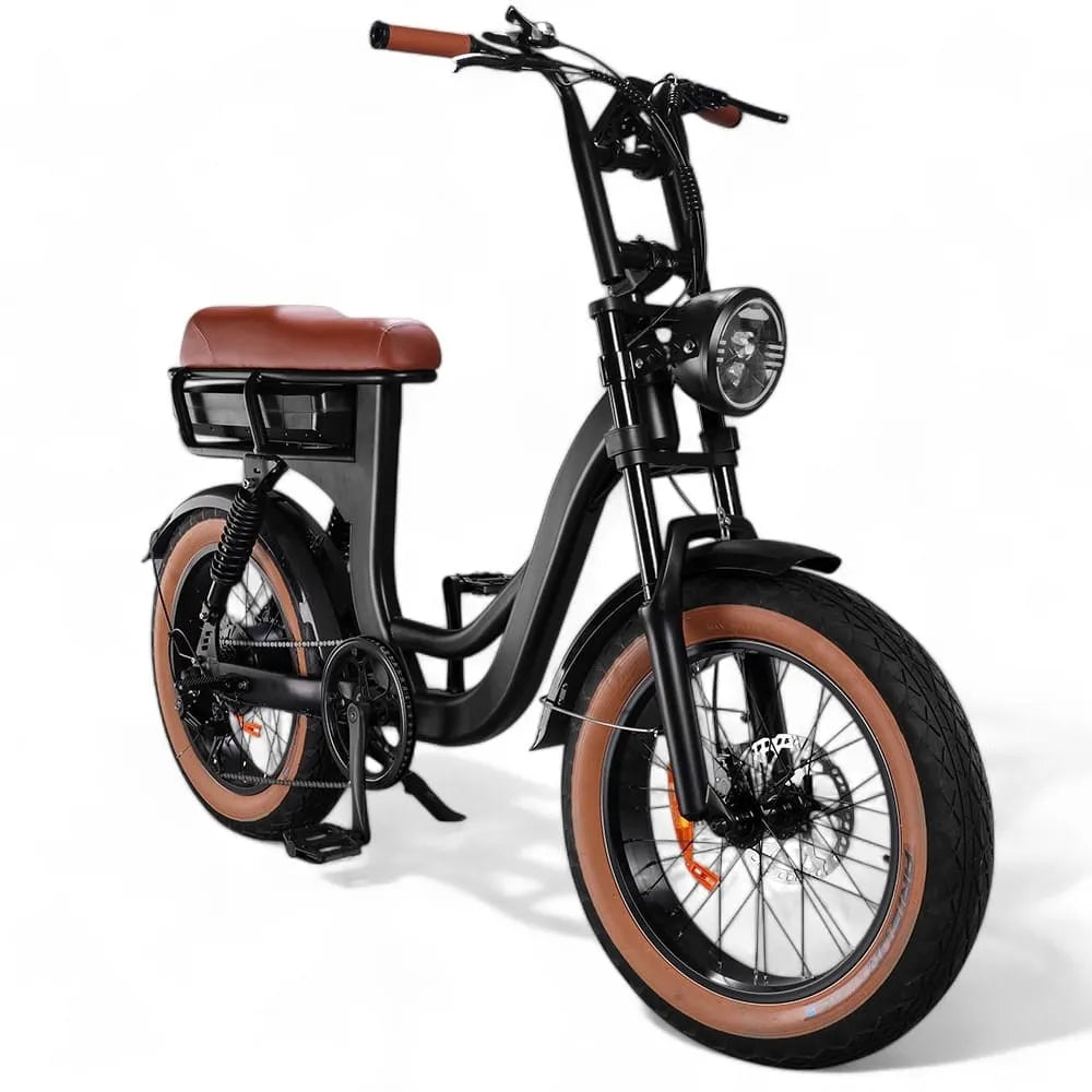 EB8 - Fatbike - Braun