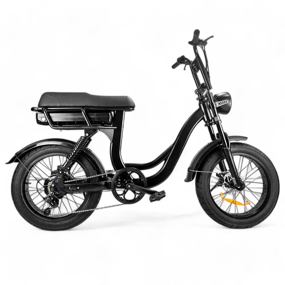 EB8 - Fatbike - Braun