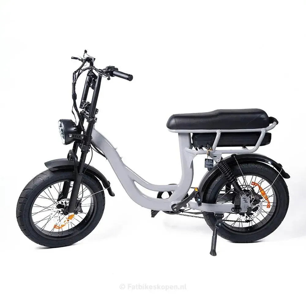 EB8 - Fatbike - Grau