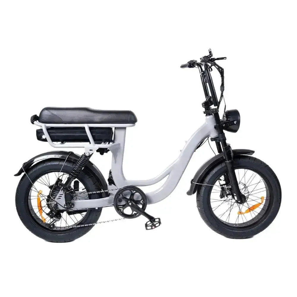 EB8 - Fatbike - Grau