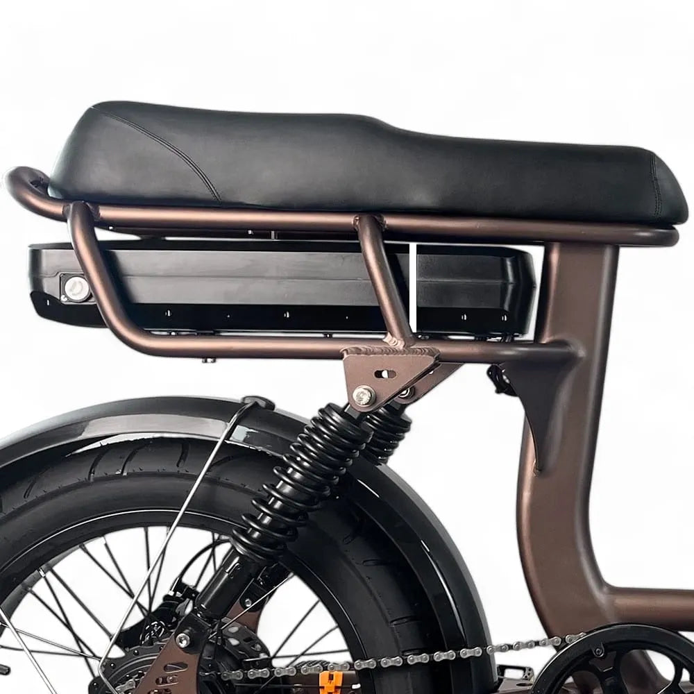 EB8 - Fatbike - Kaffee