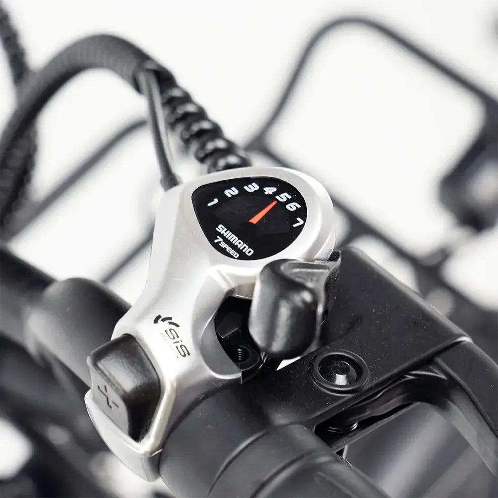 ENGWE L20 Boost - Schwarz