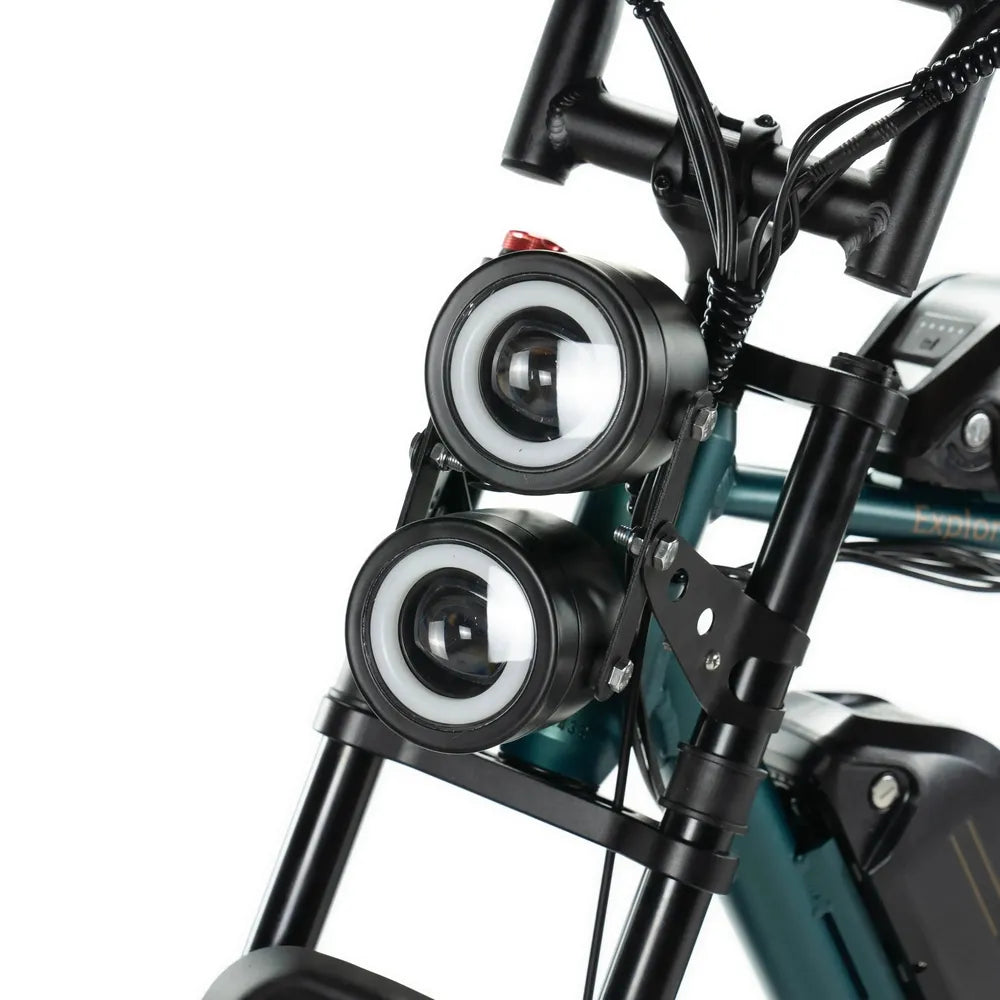 ENGWE M20 - Fatbike - Doppelte Batterie - Grün