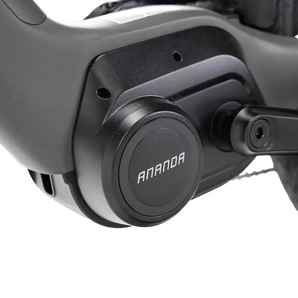 ENGWE Mapfour N1 Pro - Grau