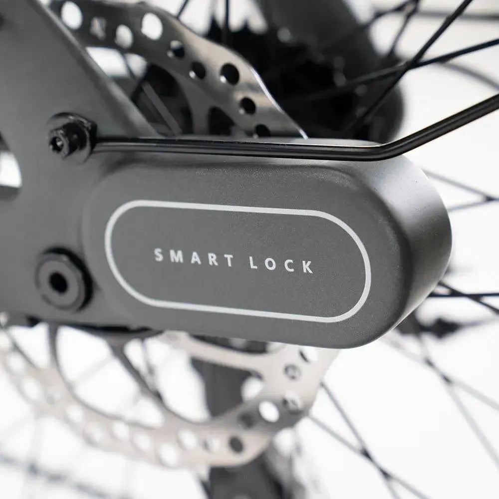 ENGWE Mapfour N1 Pro - Grau