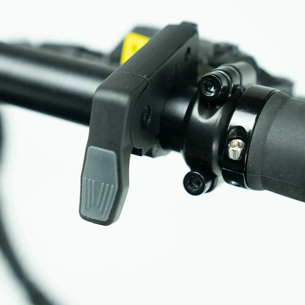 ENGWE P20 - Elektrisches Klapprad - Grün