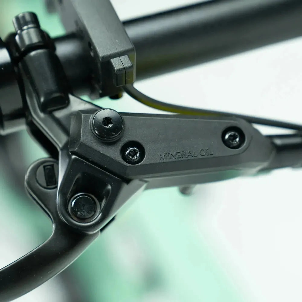 ENGWE P20 - Elektrisches Klapprad - Grün