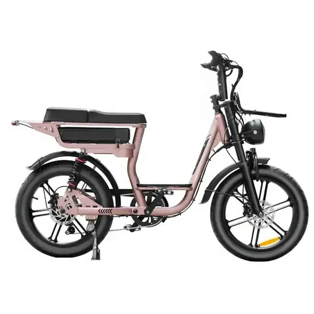 Familienangebot! | V20 Comfort - Roségold