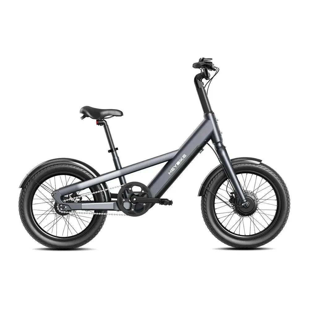Heybike Compact City - Grau