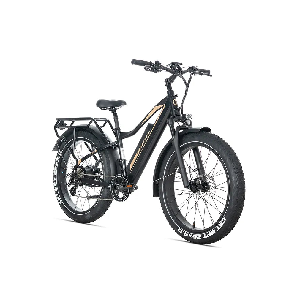 JOBOBIKE Robin Pro - Schwarz-Gold