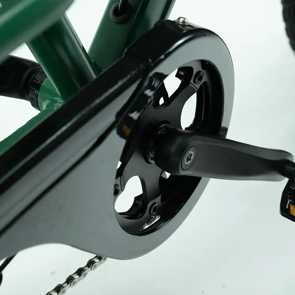 JOBOBIKE Transer - Longtail - Grün