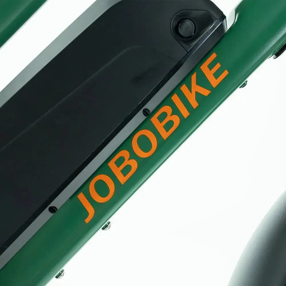 JOBOBIKE Transer - Longtail - Grün