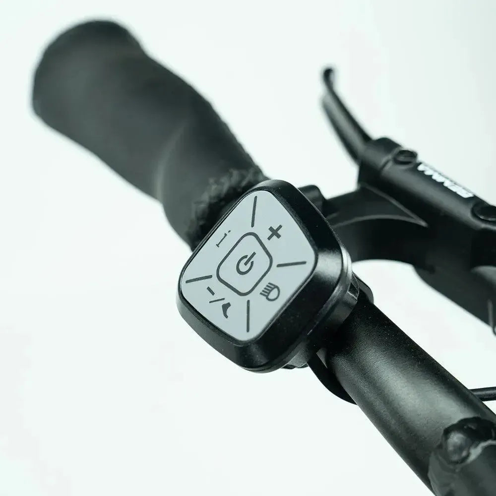 JOBOBIKE Transer - Longtail - Silbergrau