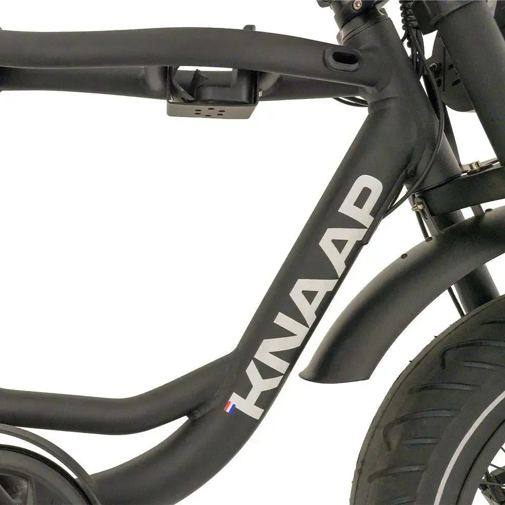 Knaap - Fatbike - BCN - Schwarz