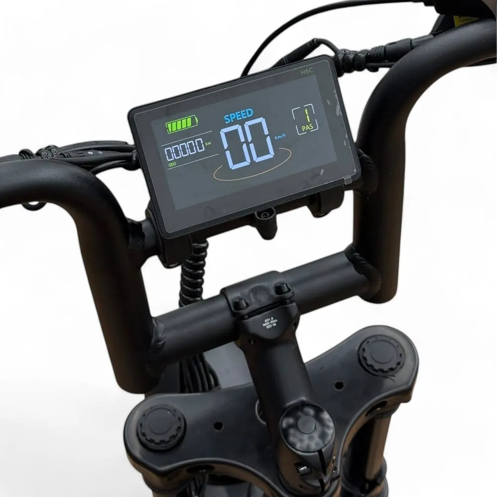 V20 Pro 4.0 2025 (Kombipaket) + Alarmsystem + Rücksitz + Fußstützen + Gasgriff