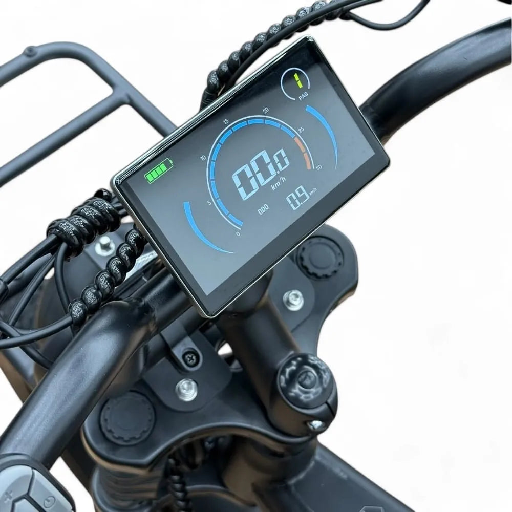 OUXI V8 Pro XL - Dickreifenfahrrad - 24X4.0 - Doppelte Batterie