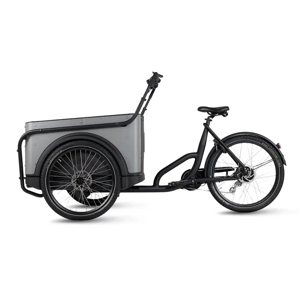 Royal Cargo Bike 3W Eco - Grau