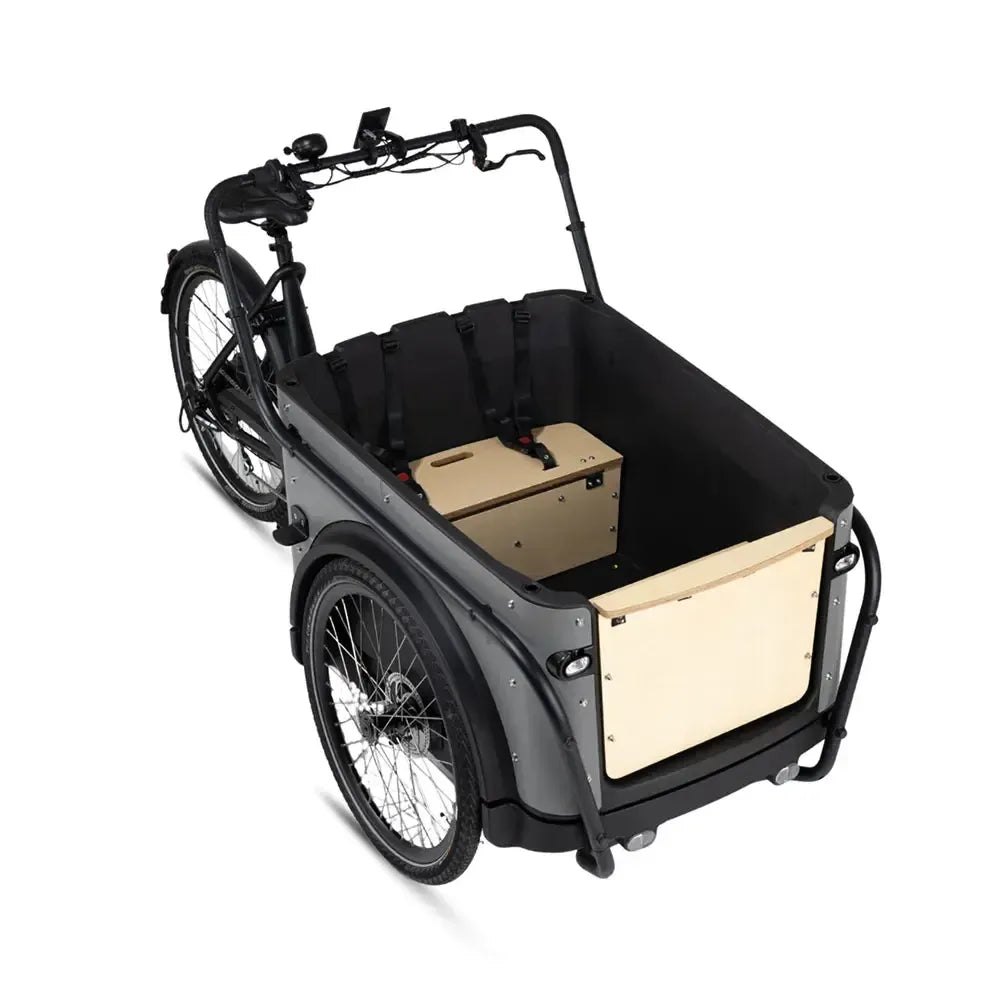 Royal Cargo Bike 3W Eco - Grau