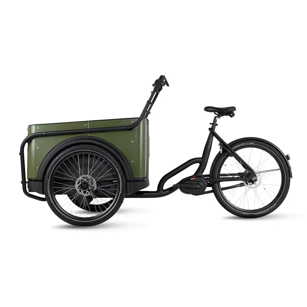 Royal Cargo Bike 3W Premium - Grün