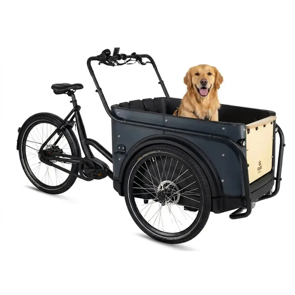 Royal Cargo Bike 3W Premium Plus - Anthrazit