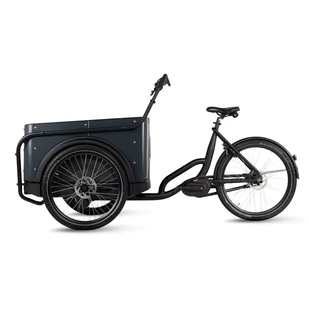 Royal Cargo Bike 3W Premium Plus - Anthrazit