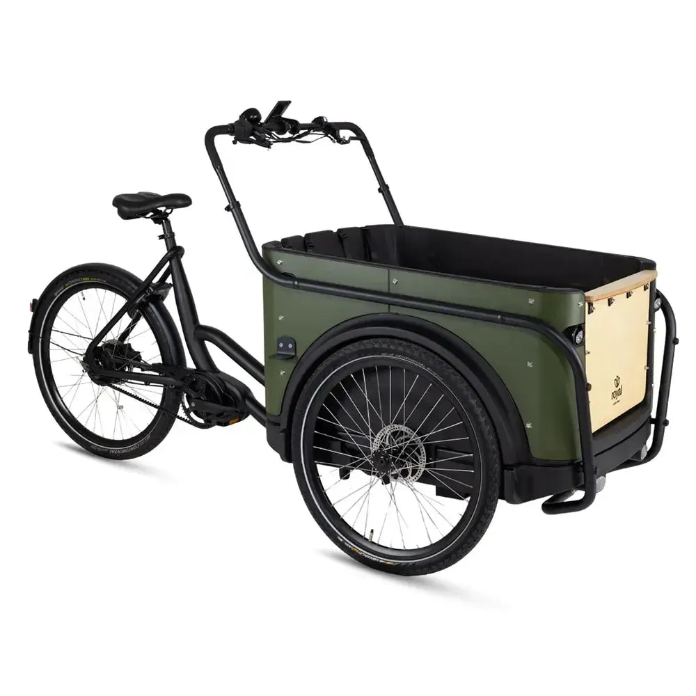 Royal Cargo Bike 3W Premium Plus - Grün