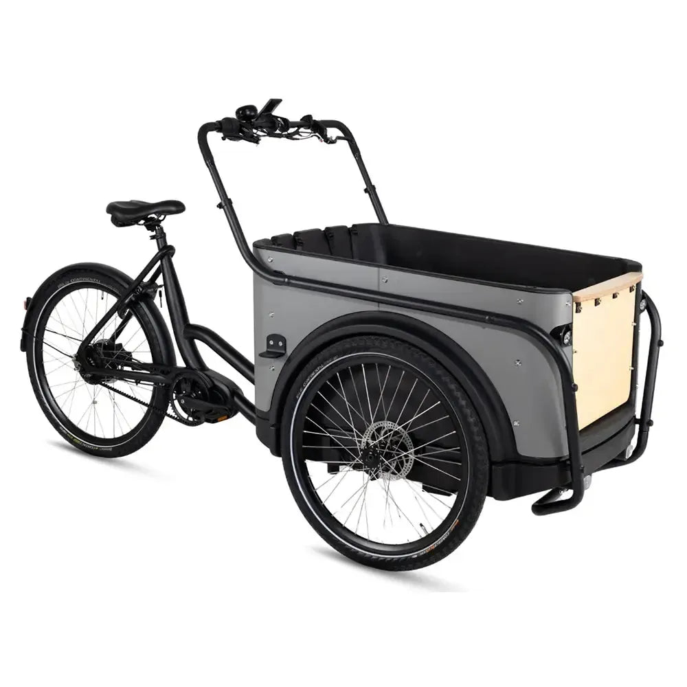 Royal Cargo Bike 3W Premium Plus - Taupe Grau