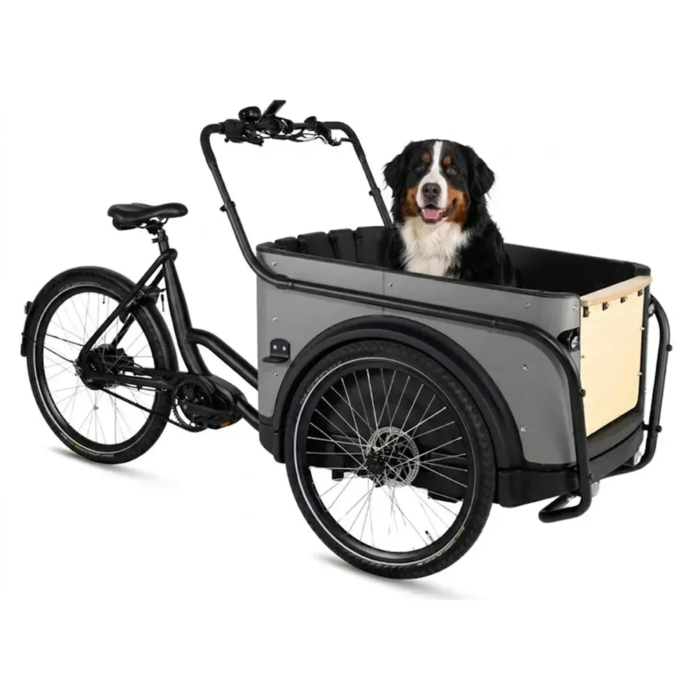 Royal Cargo Bike 3W Premium Plus - Taupe Grau