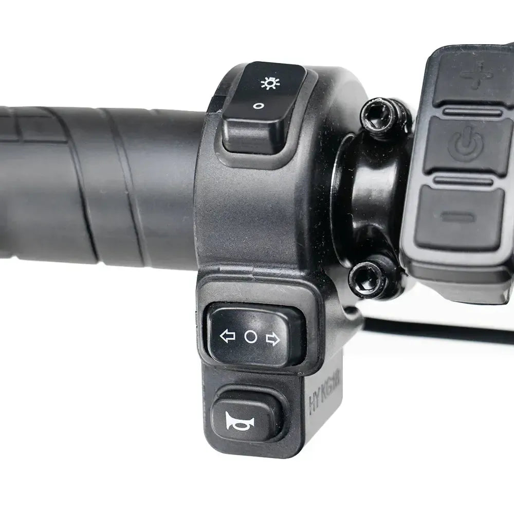 S20 Pro – Schwarz (V20)