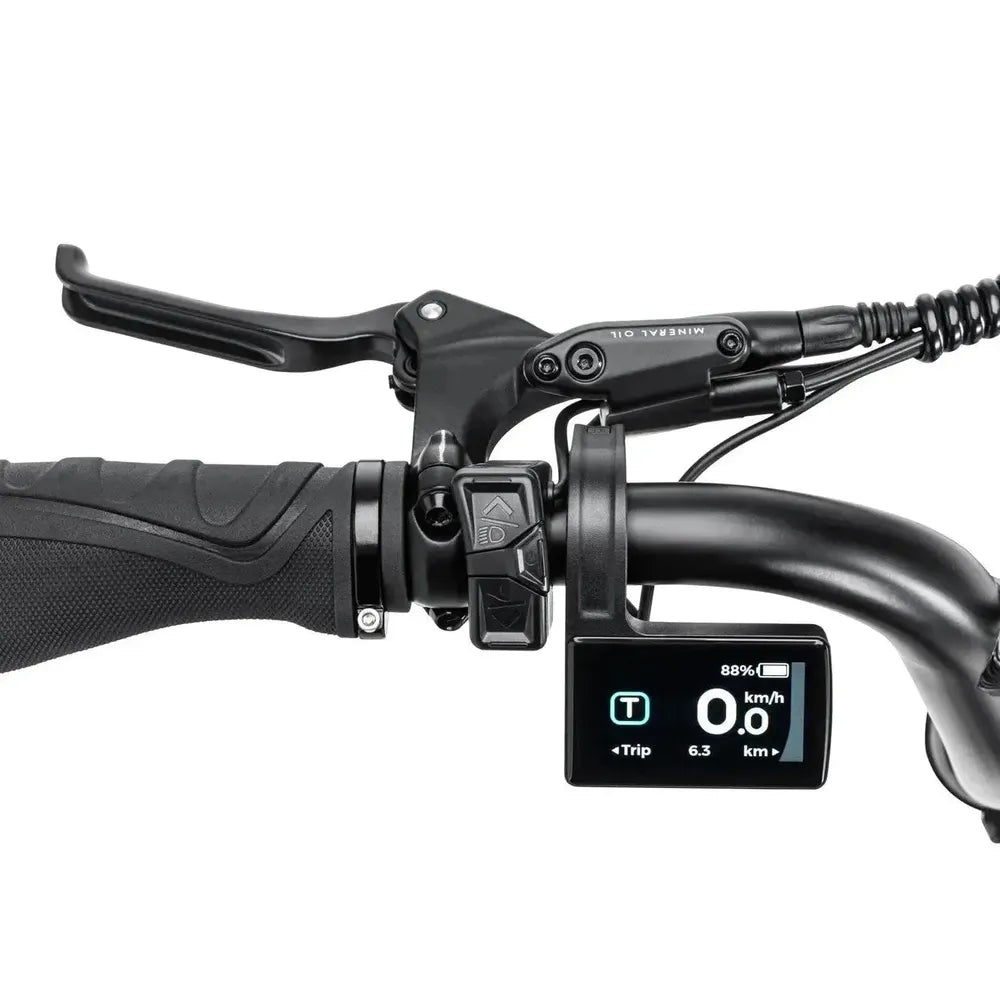 STOER Bikes Urban X - Fatbike - Grau