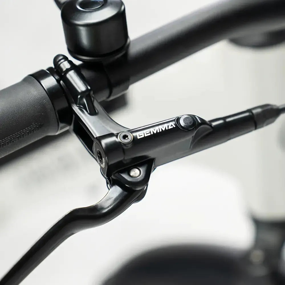 JOBOBIKE Dyno GT - Grau