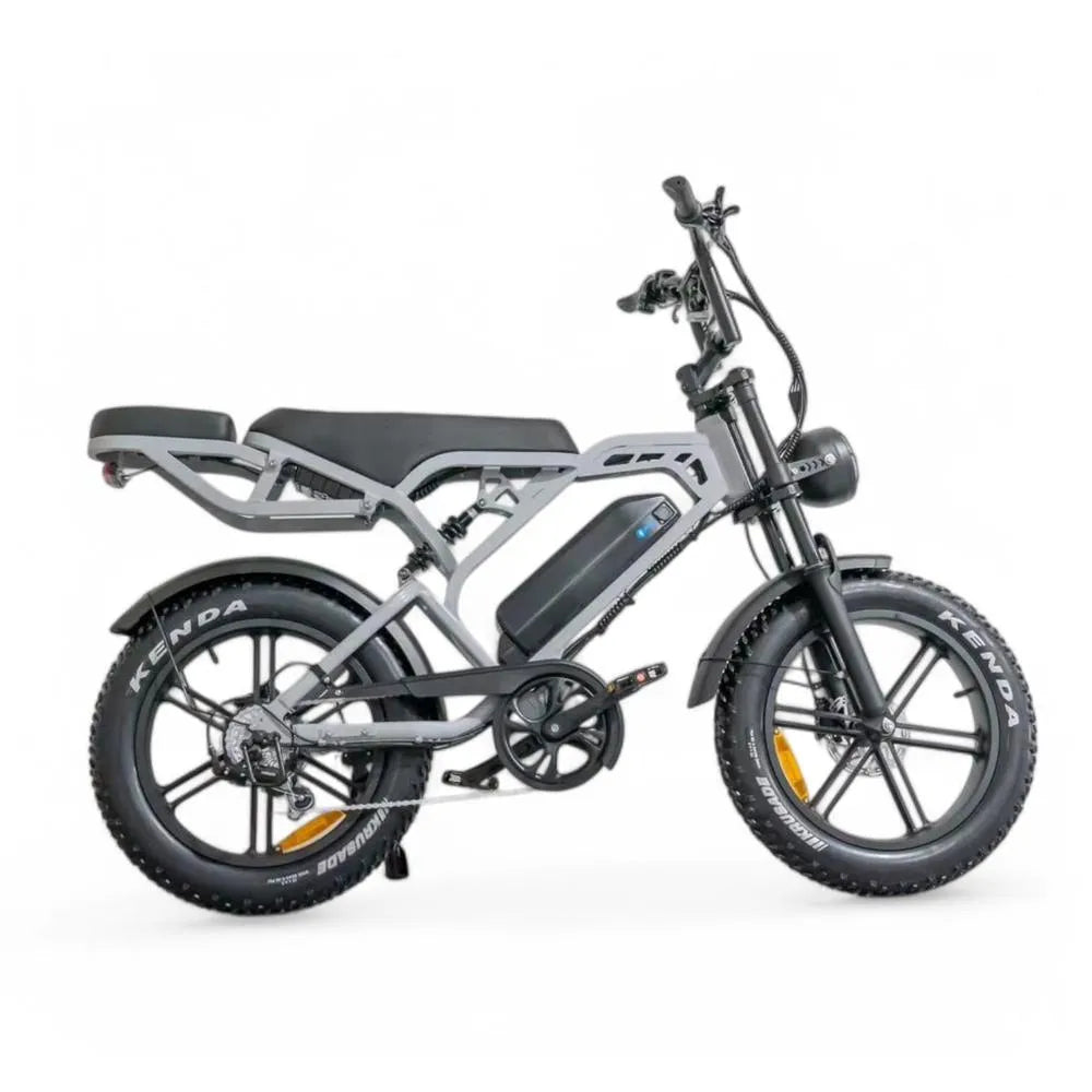 V20 Pro 5.0 Grau - Fettfahrrad - Hydraulische Bremsen