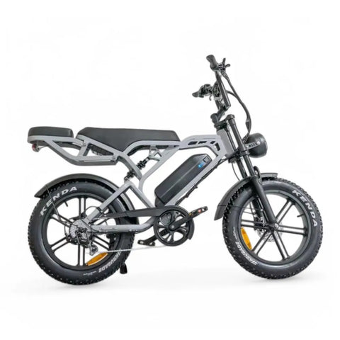 V20 Pro 5.0 Grau - Fettfahrrad - Hydraulische Bremsen