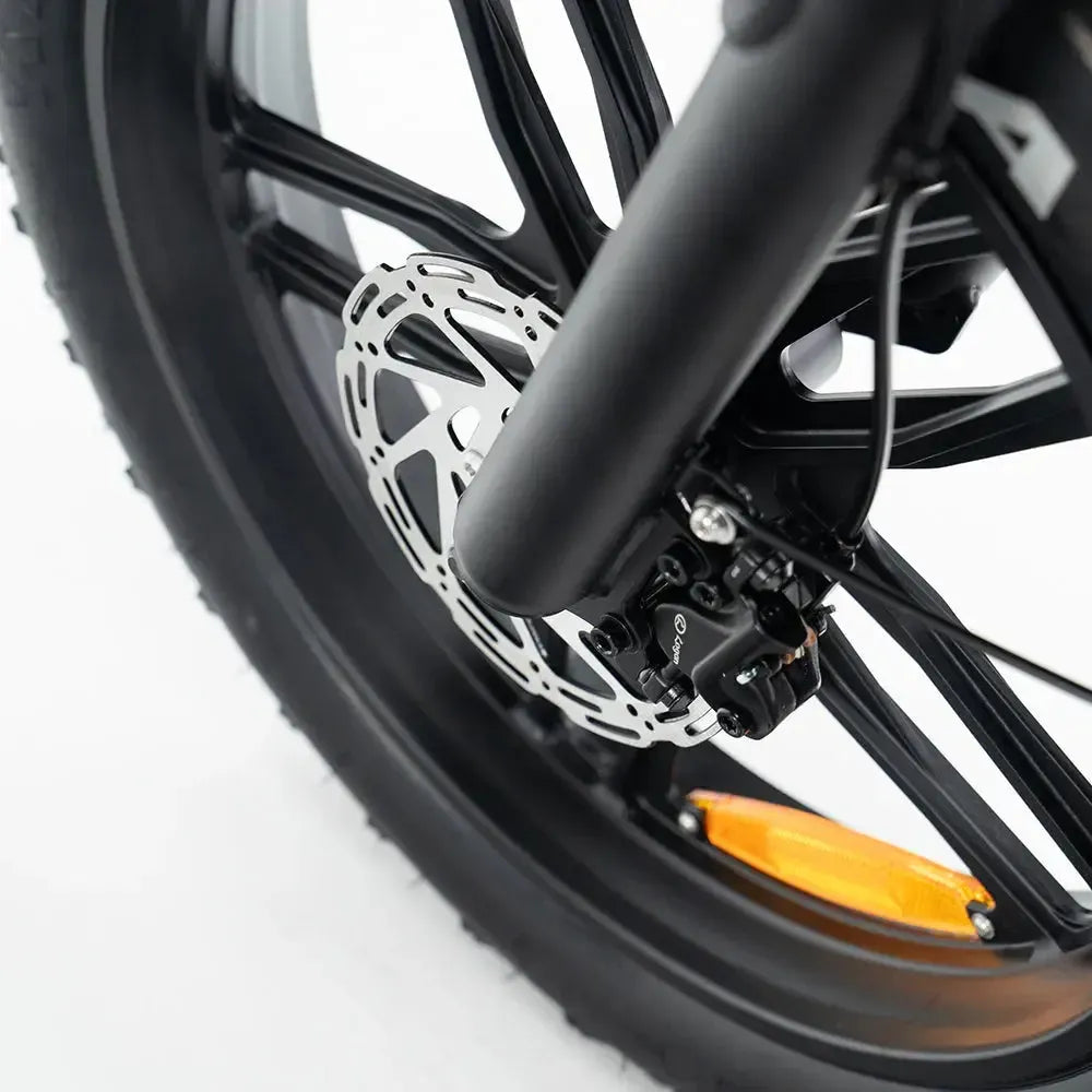 V20 Pro 5.0 Grau - Fatbike - Hydraulische Bremsen