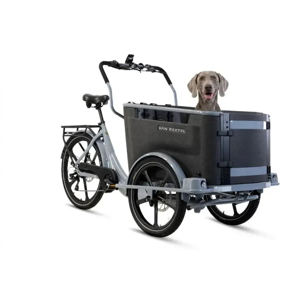 Van Rixtel Dog - Nardo Grau