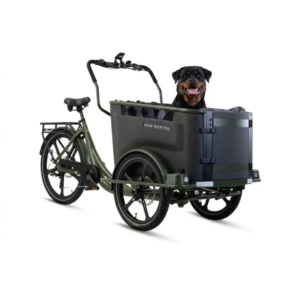 Van Rixtel Dog - Olivgrün