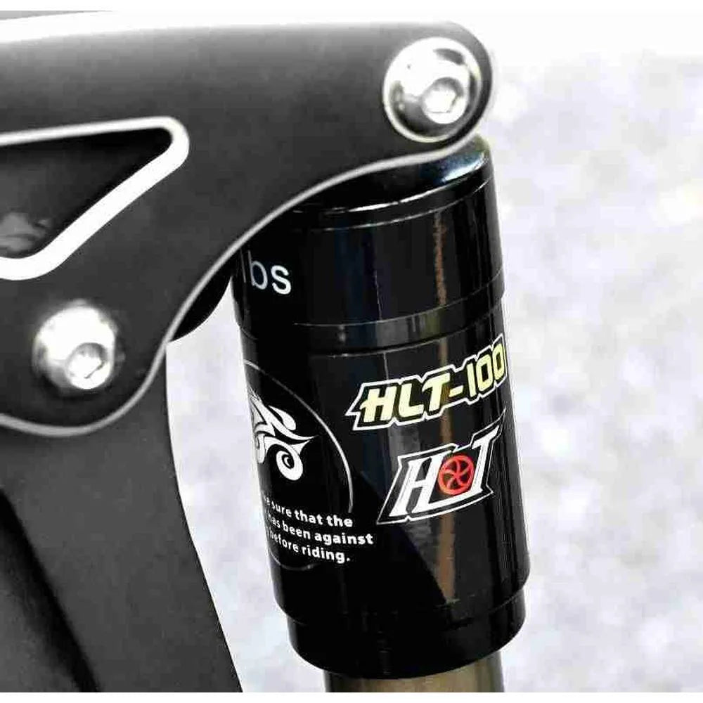 Engwe Engine X - Elektrisches Klapprad - Schwarz