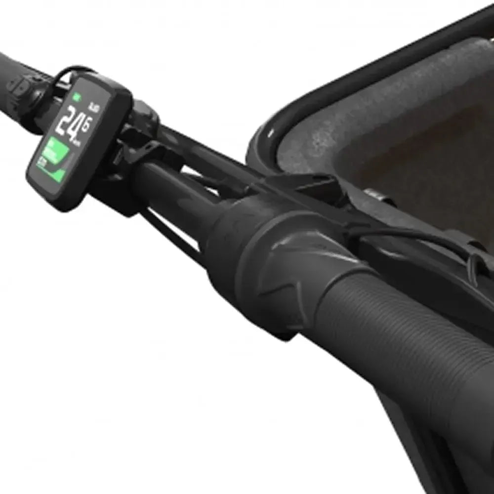Cangoo Buckle Up - Schwarz