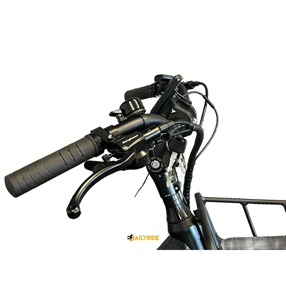 Diablo Großer Fuß Dreirad - Elektrisches Fahrrad für eingeschränkte Mobilität - Matt Schwarz