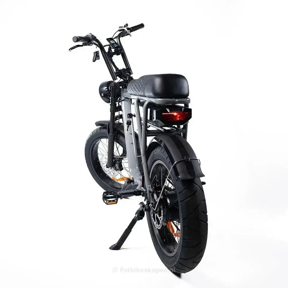 EB2 Fatbike Silber + Alarm + Fußstützen